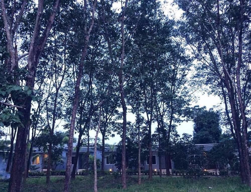 Saiyuan Garden Resort Rawai エクステリア 写真